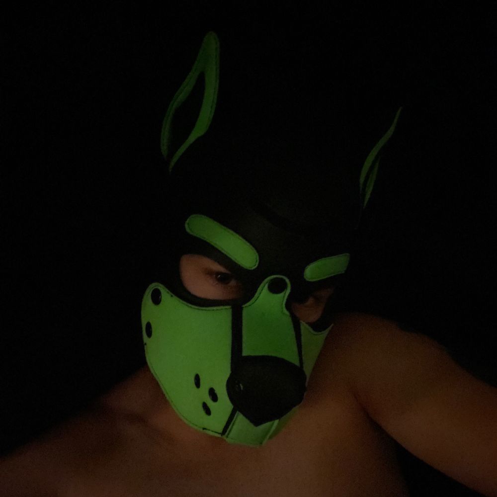 Pup Arrow
