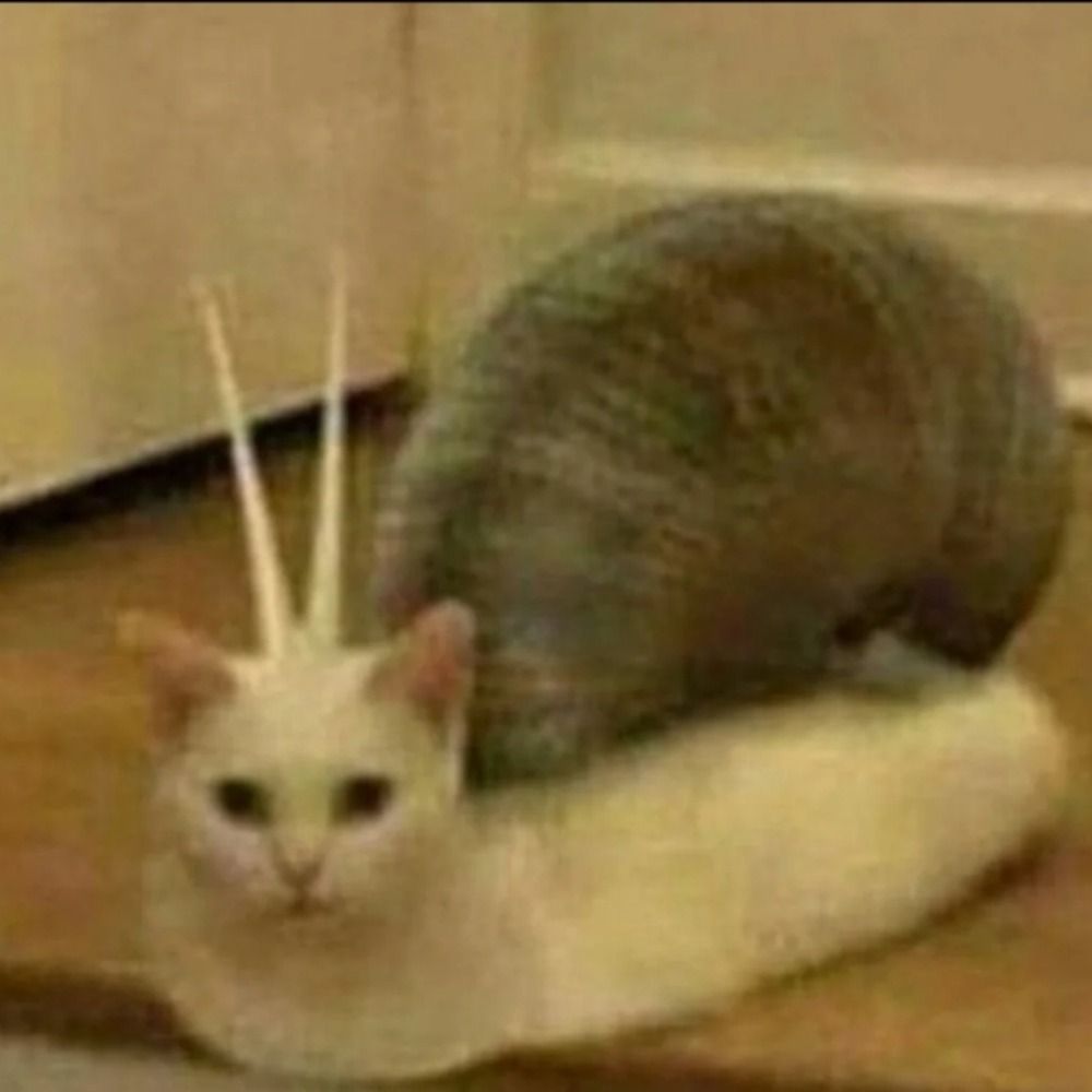 Snail