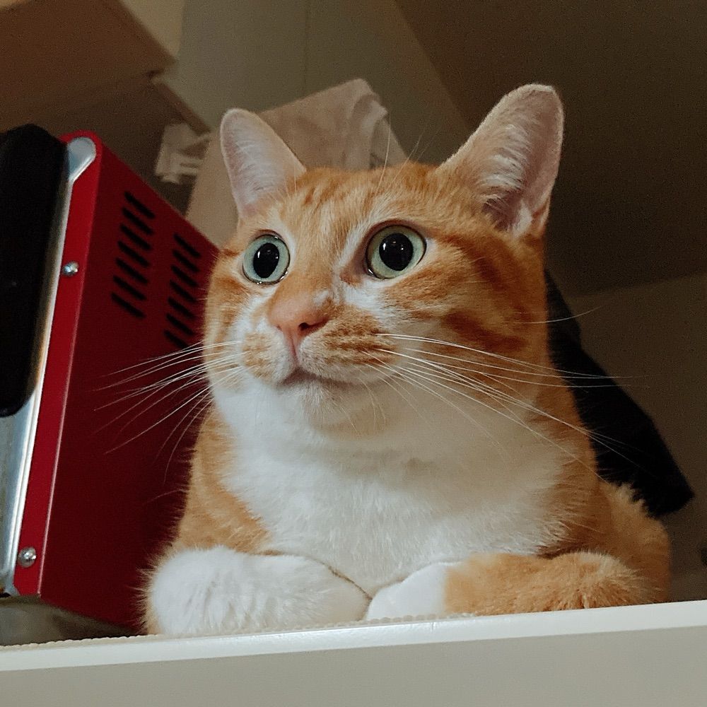さ
