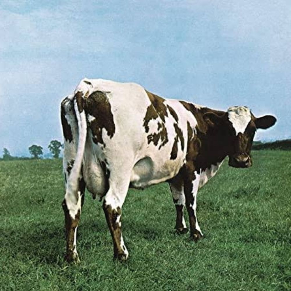 nathan 🐄