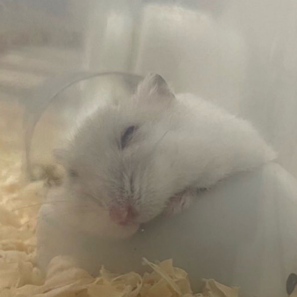 みどりの独り言