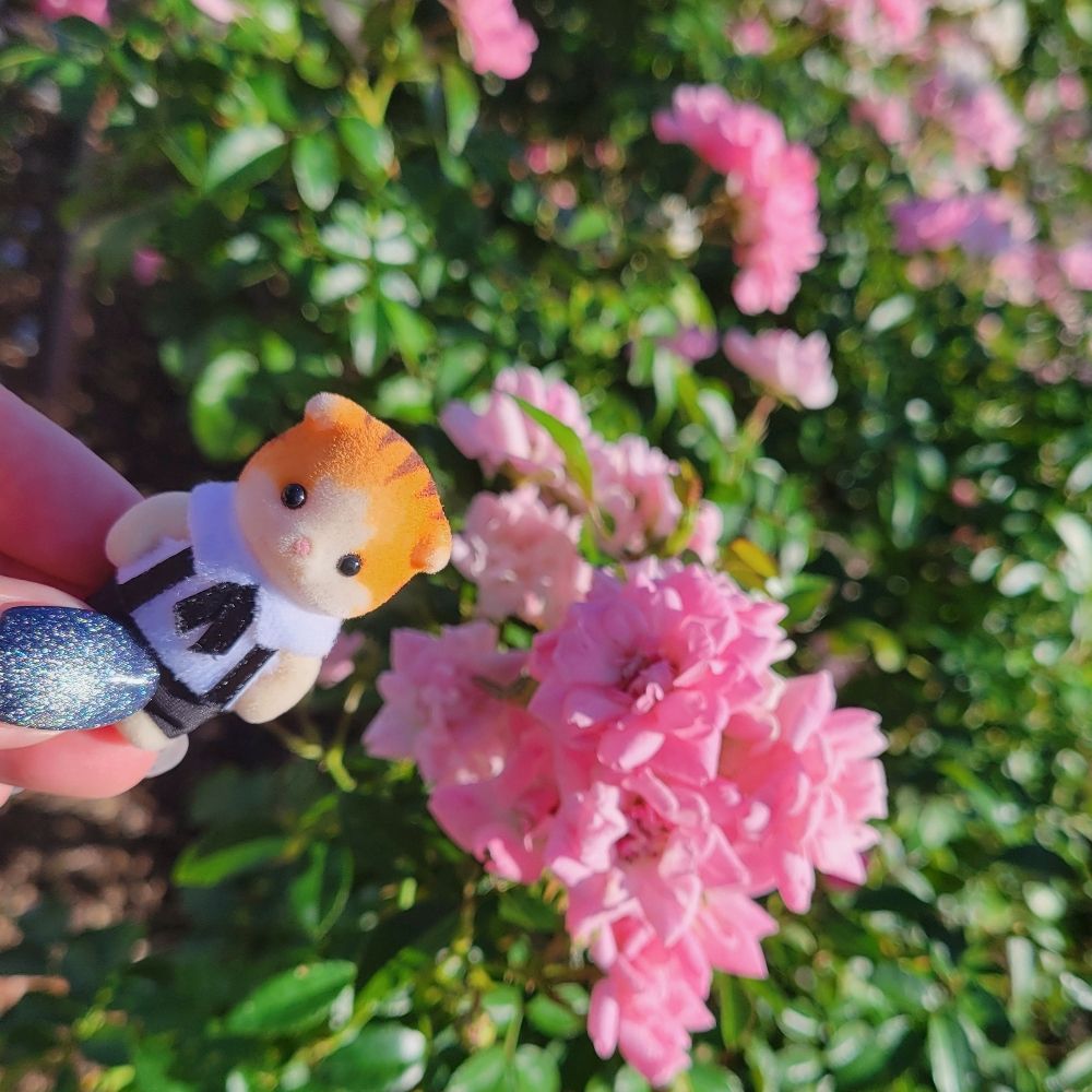 𝕞𝕞𝕞