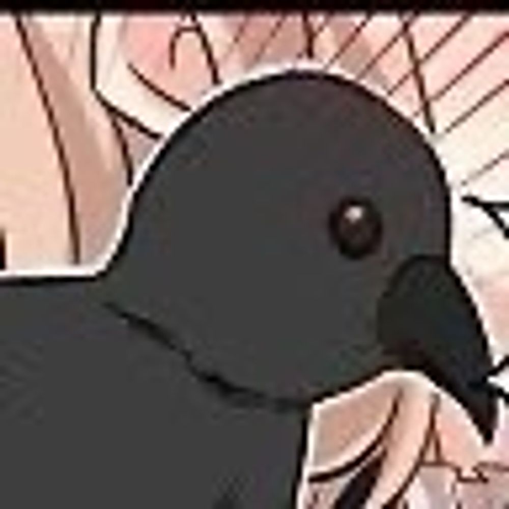 BoixosNois／Raven Flock