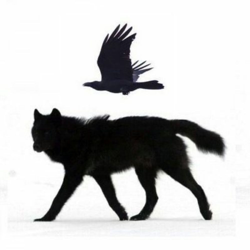 badwolf
