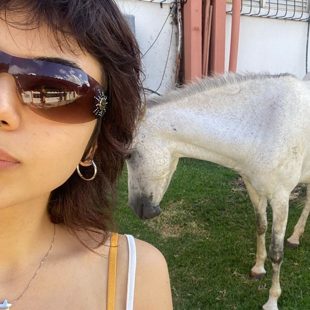 lipi