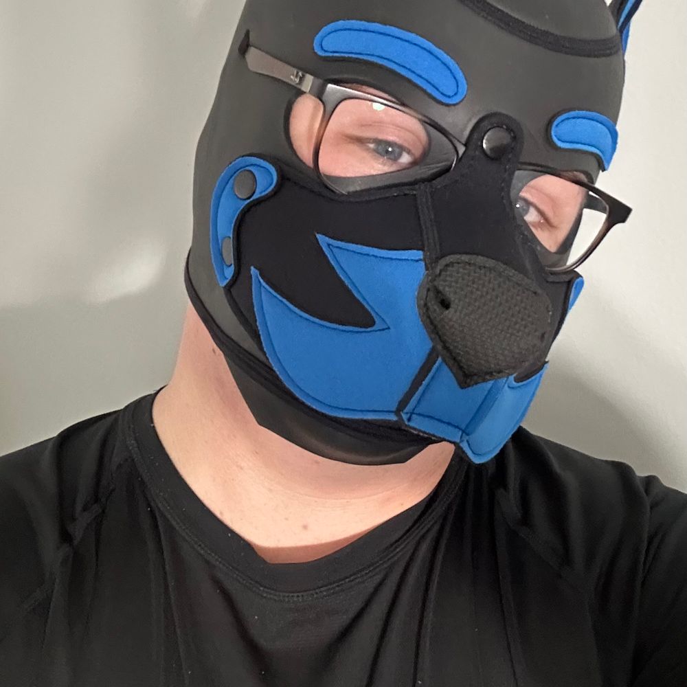 Pup Lazarus