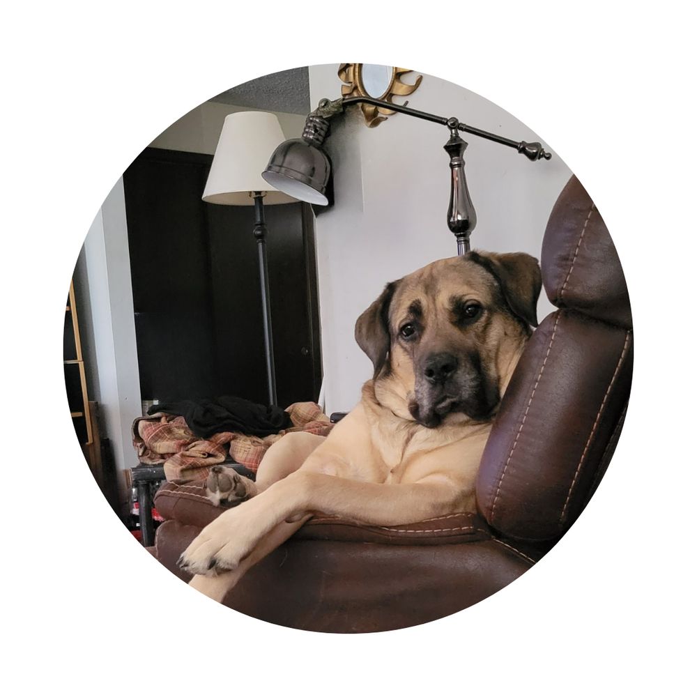 keljolie.bsky.social profile picture