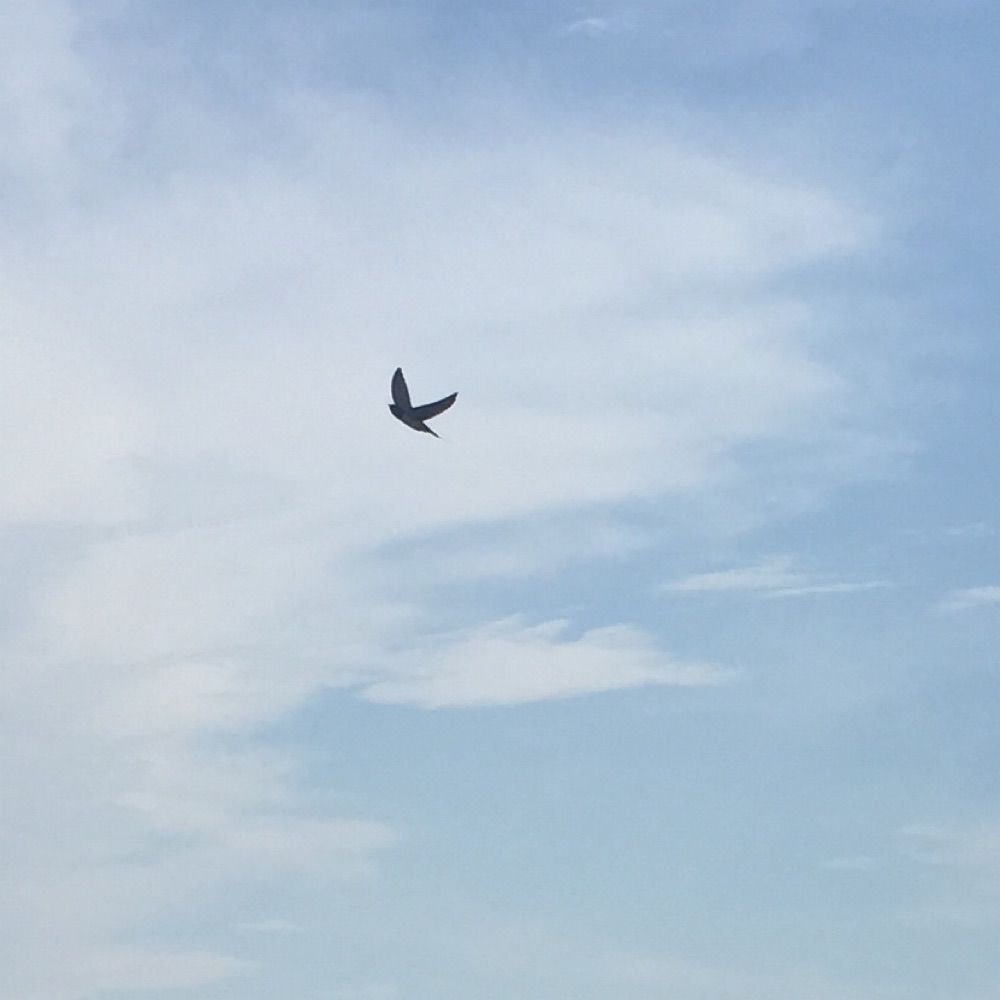 无关浮名