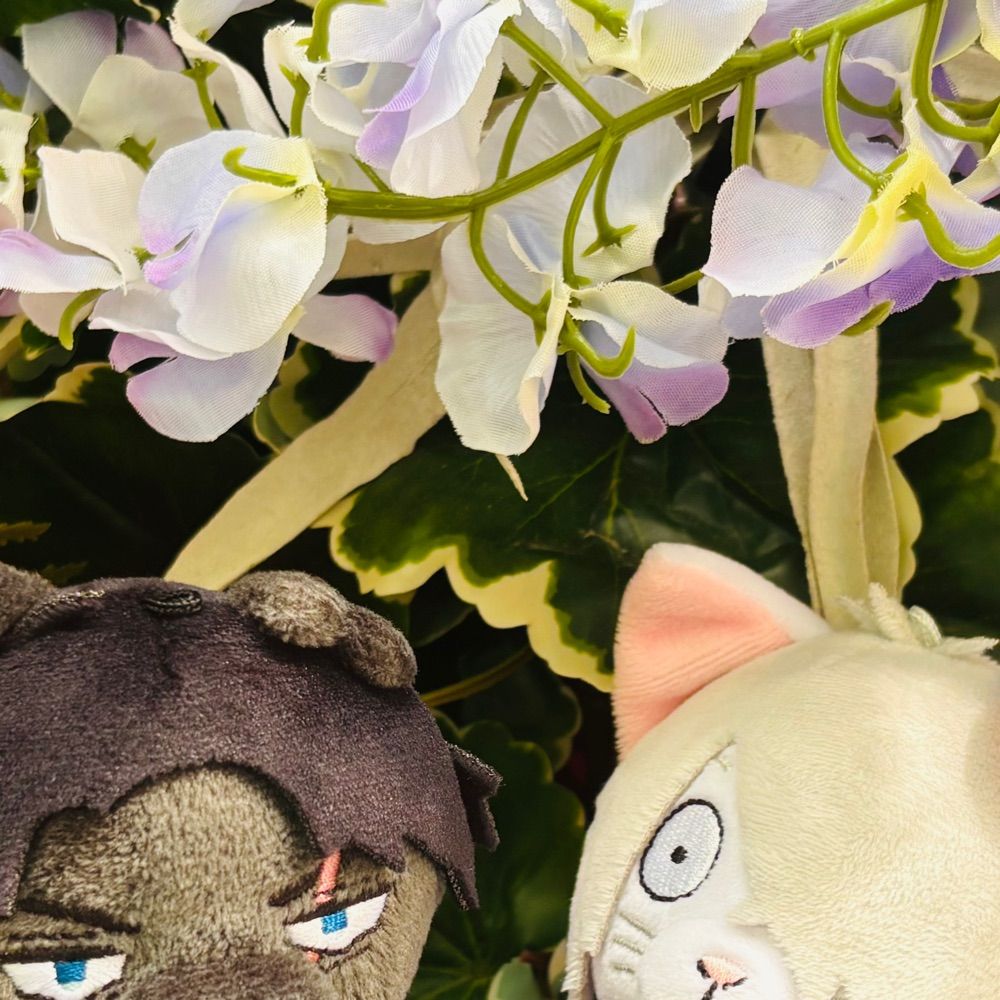 いぐさ