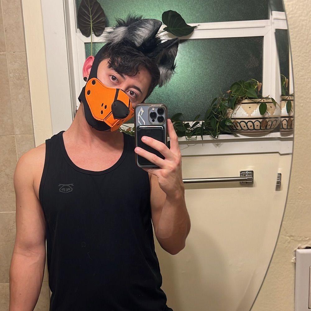 Pup Huntr