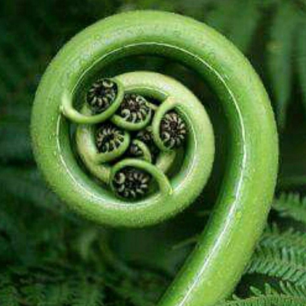 Positive Meandering