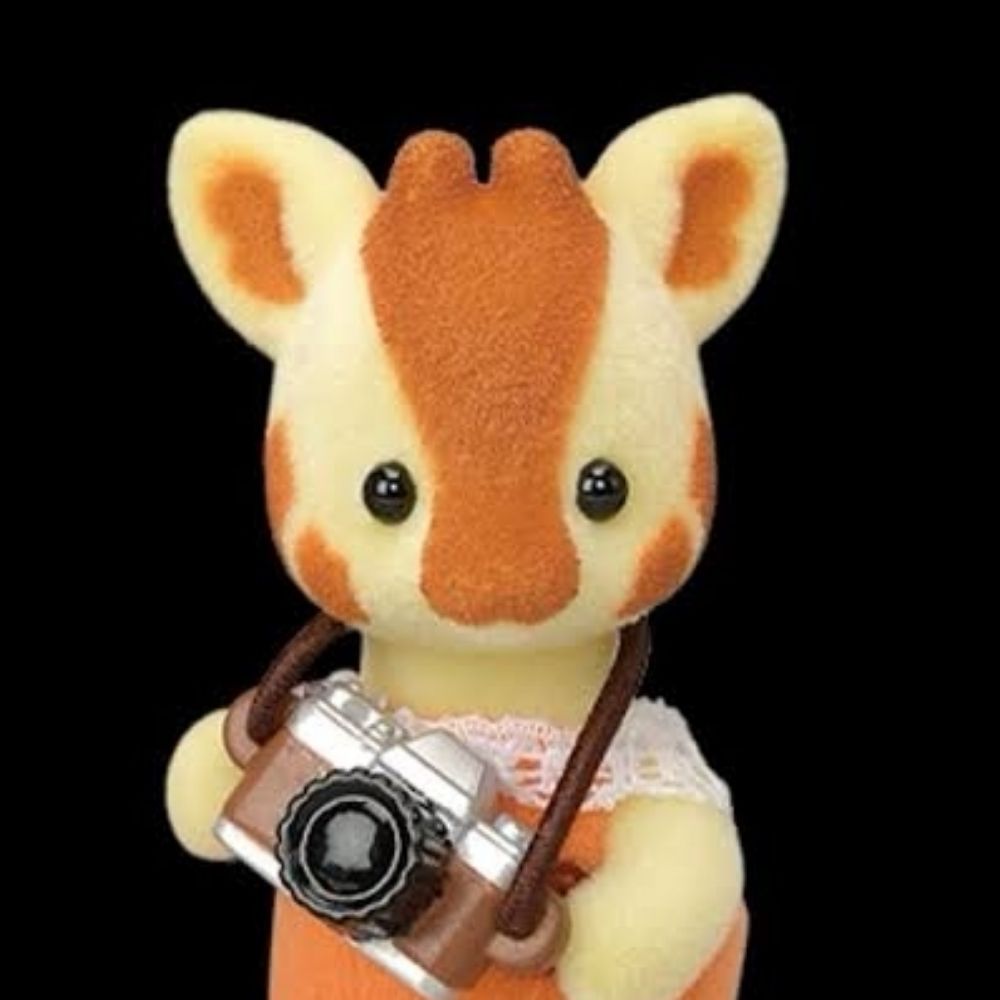 Pollita