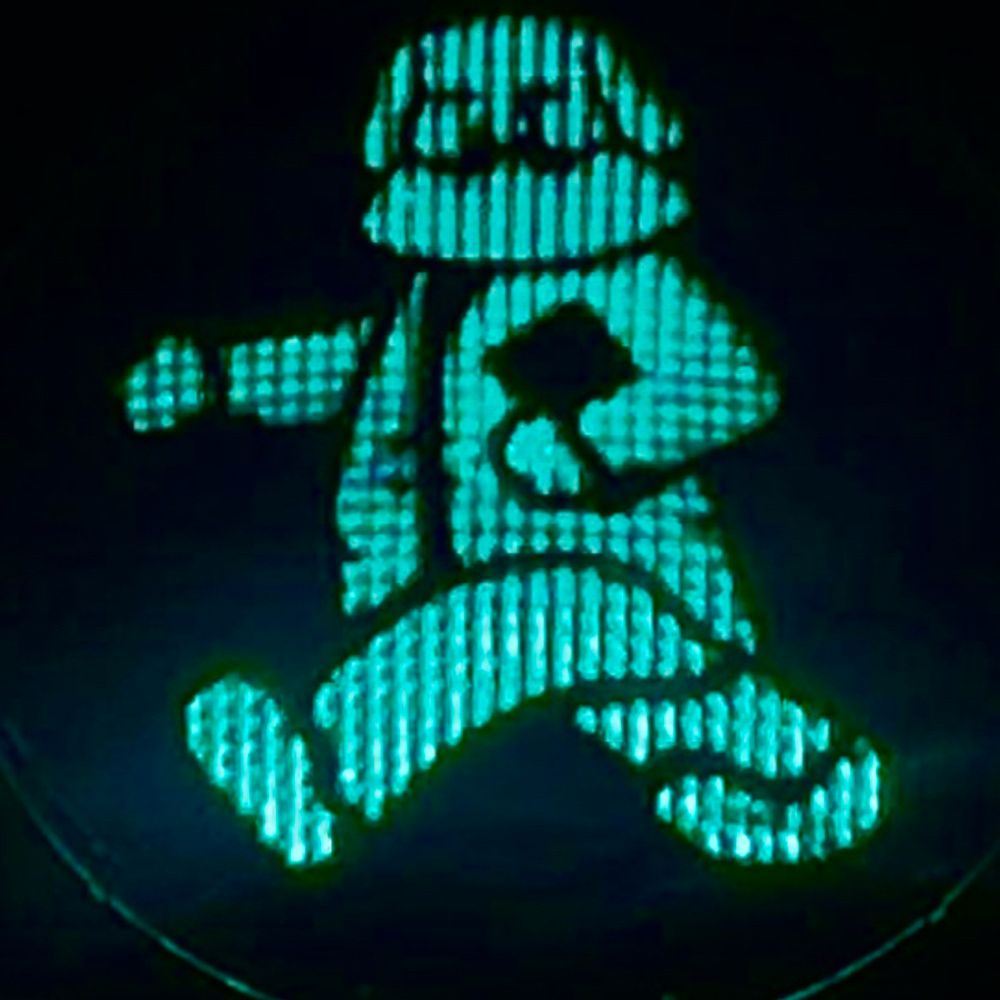 Project Pedestrian