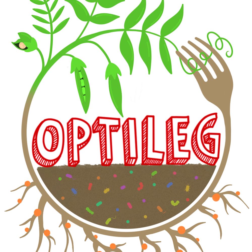 OPTILEG