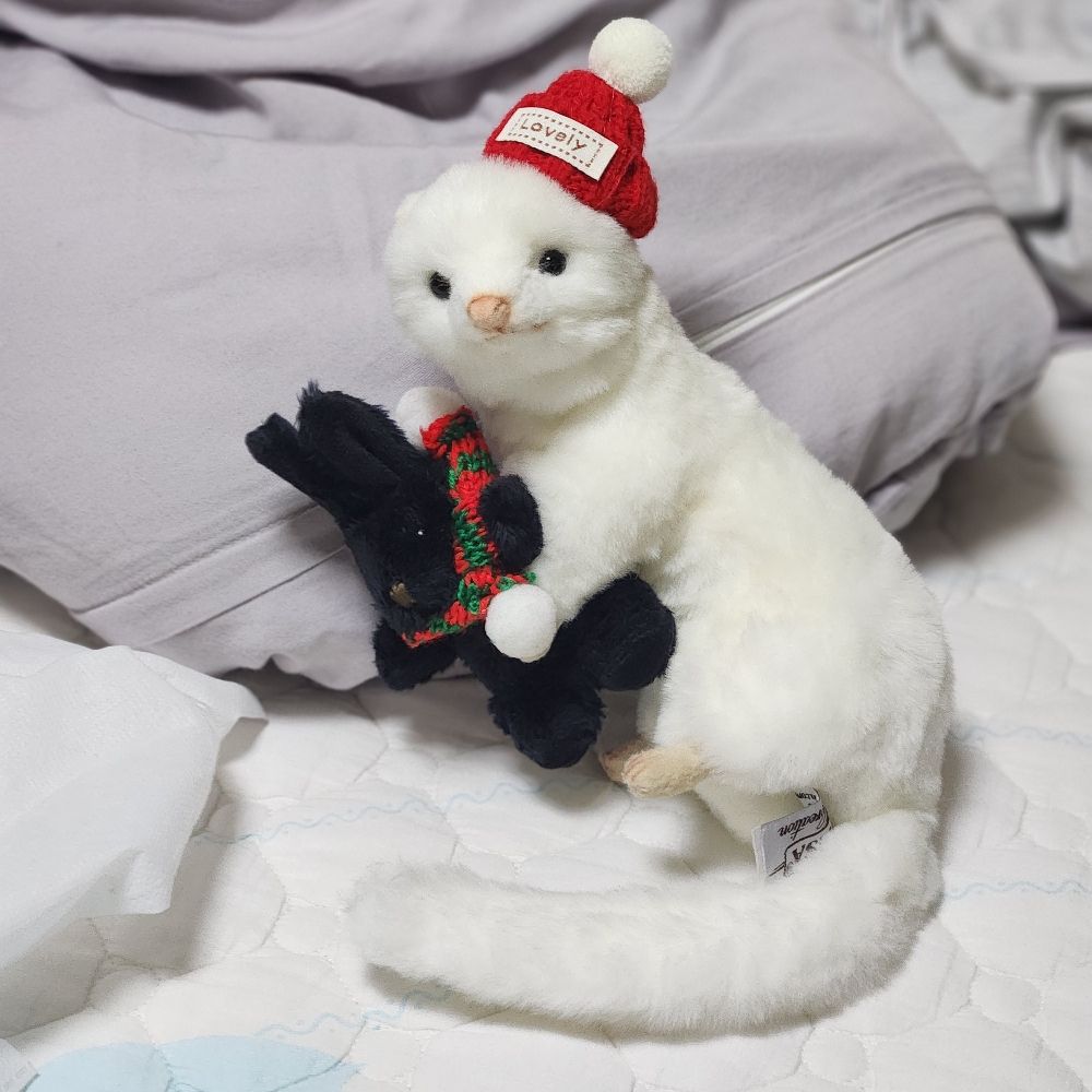 솜풀