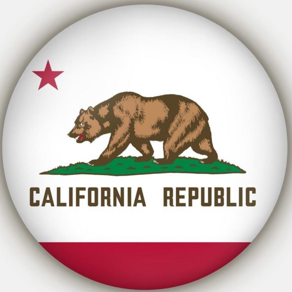 REBEL SO-CAL 🇺🇸