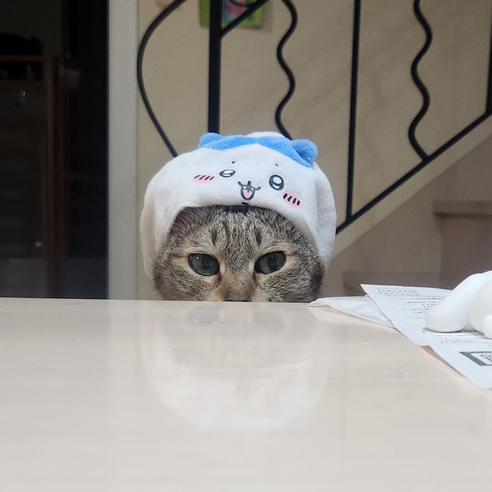 ちょこらしゅー