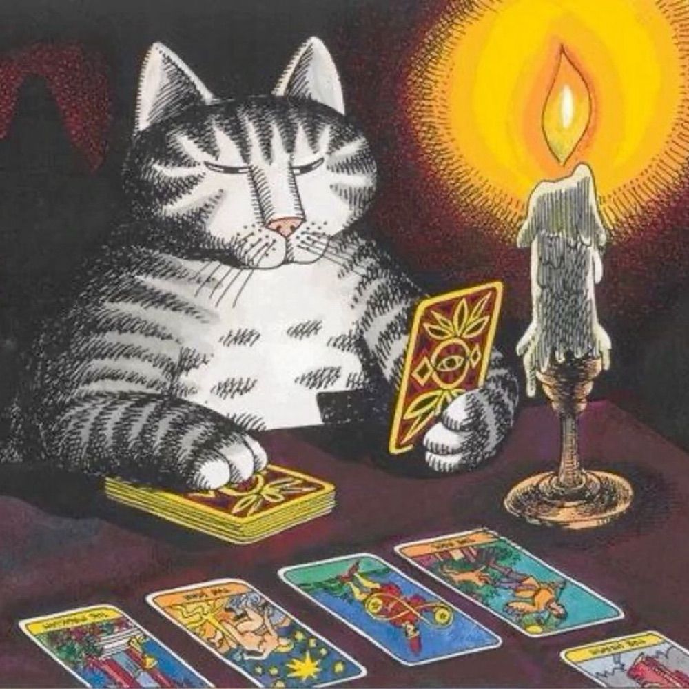 witchingnet