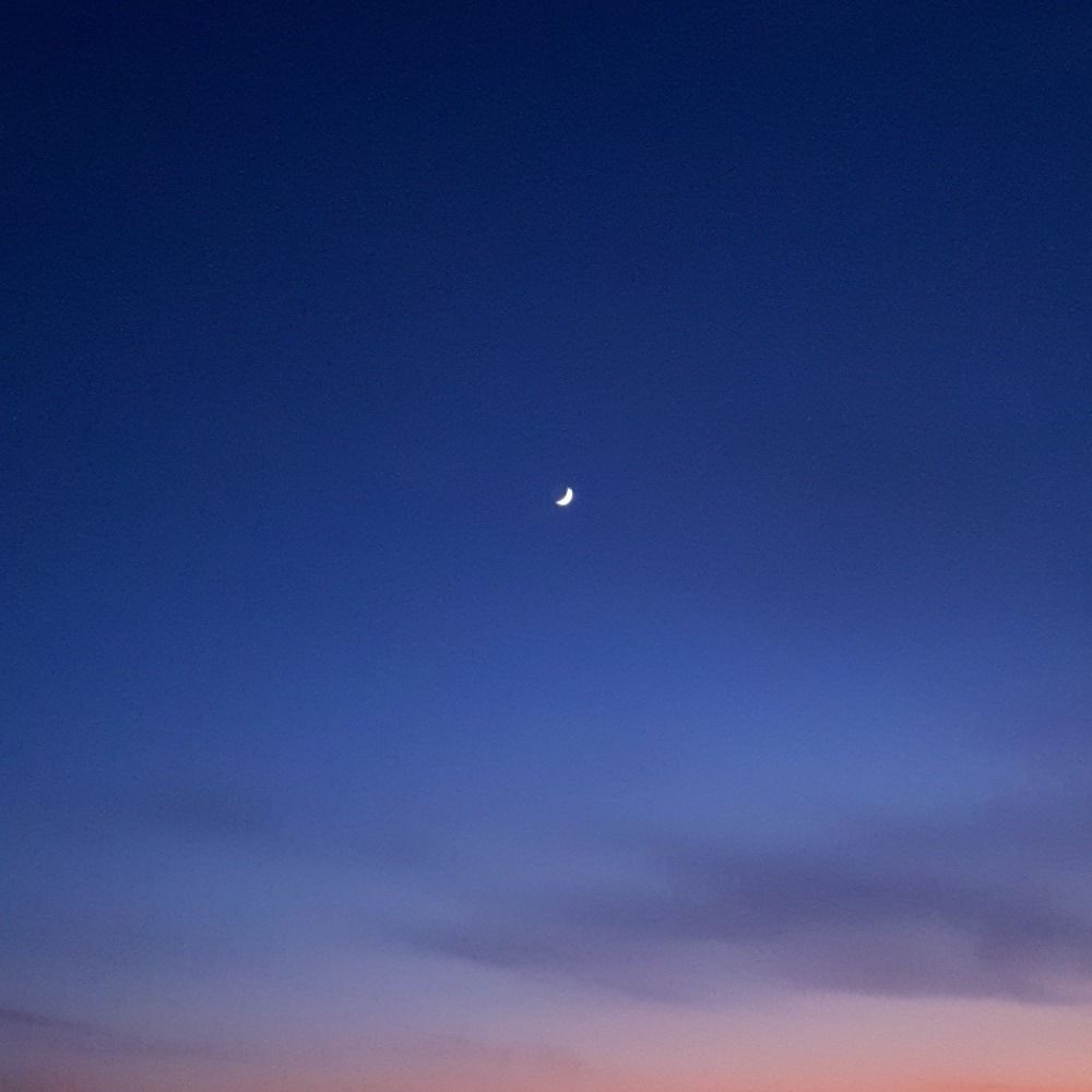 ✨