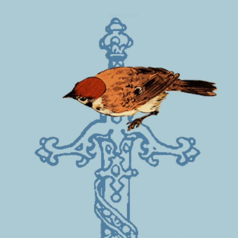 like a bird, but with more swords