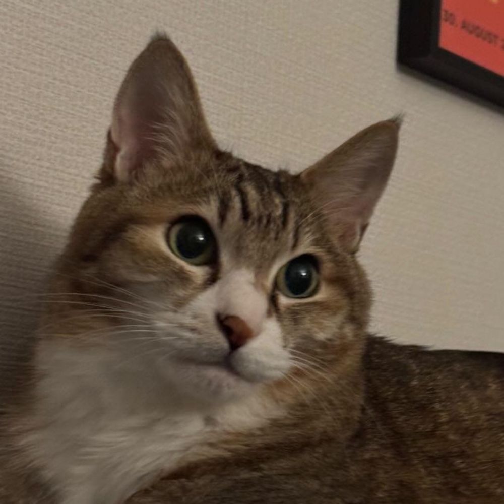 유암