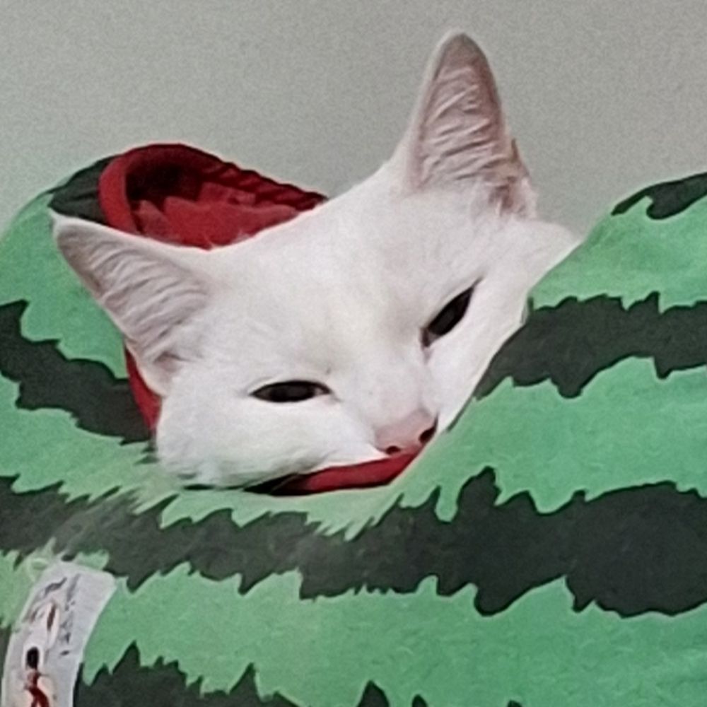 nyx