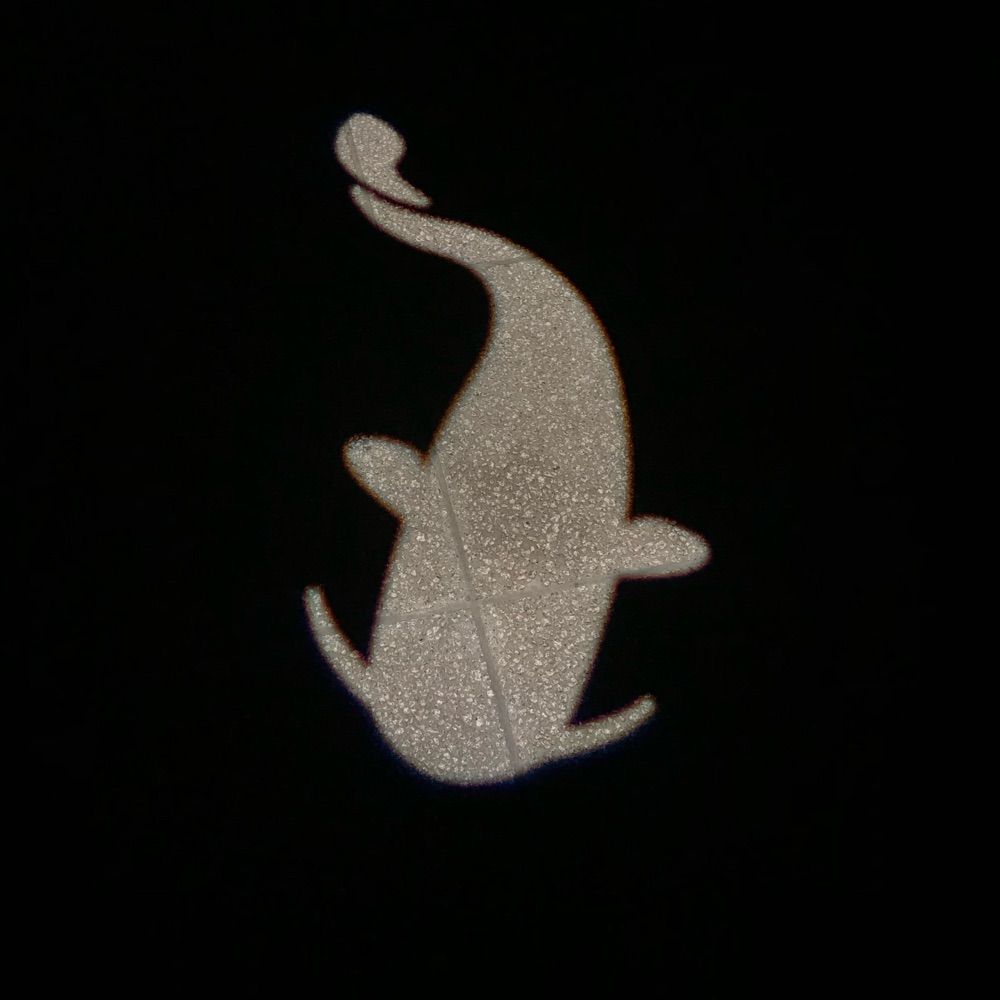 単水魚