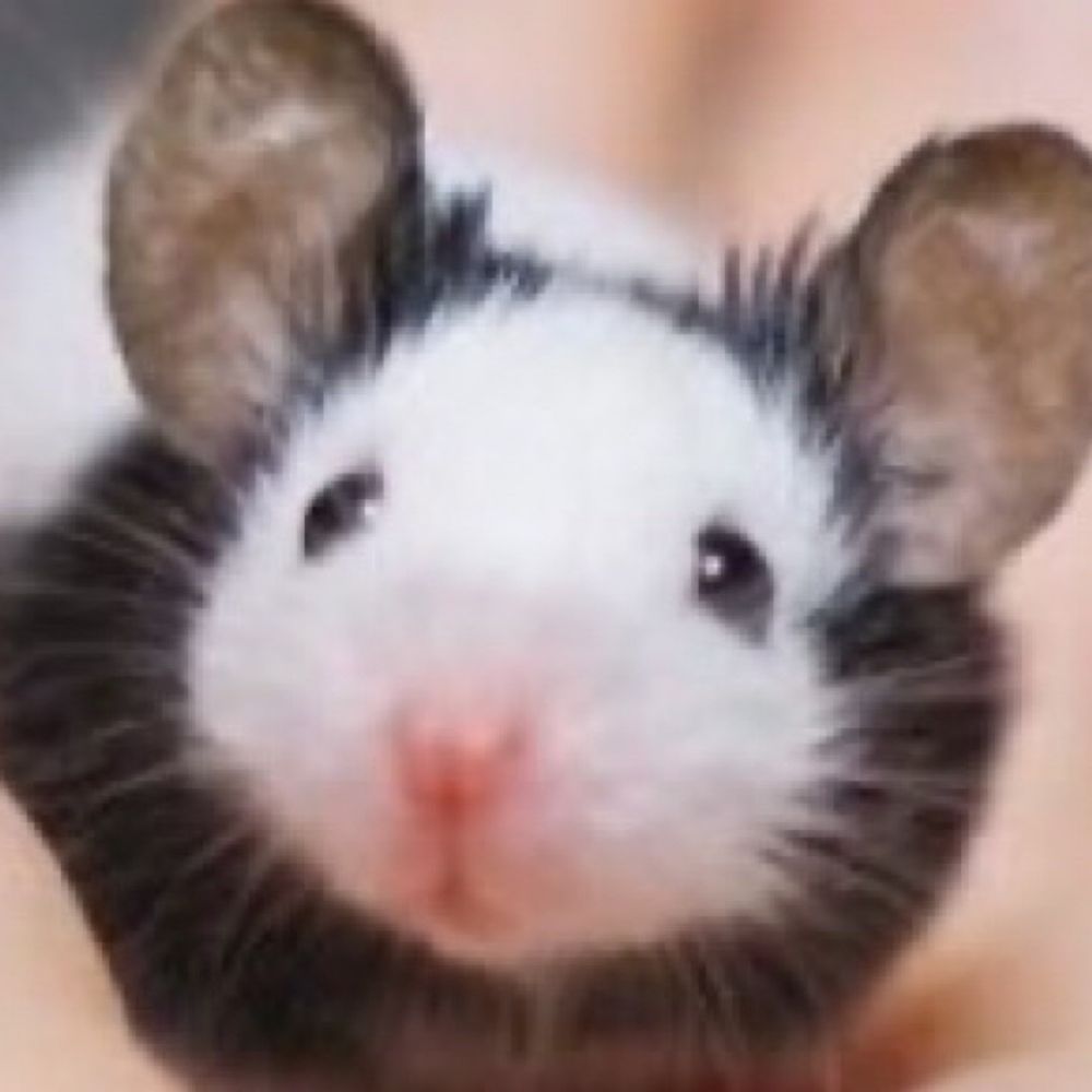 압권