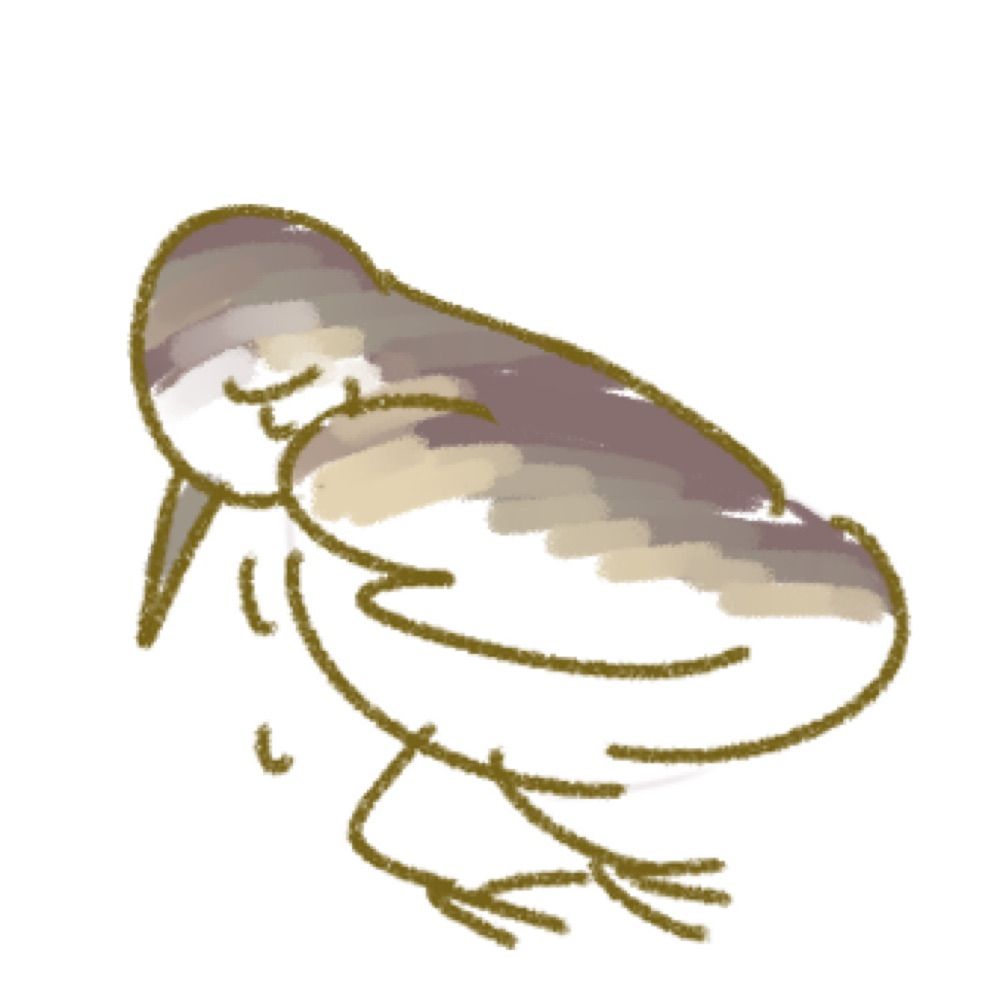 도요