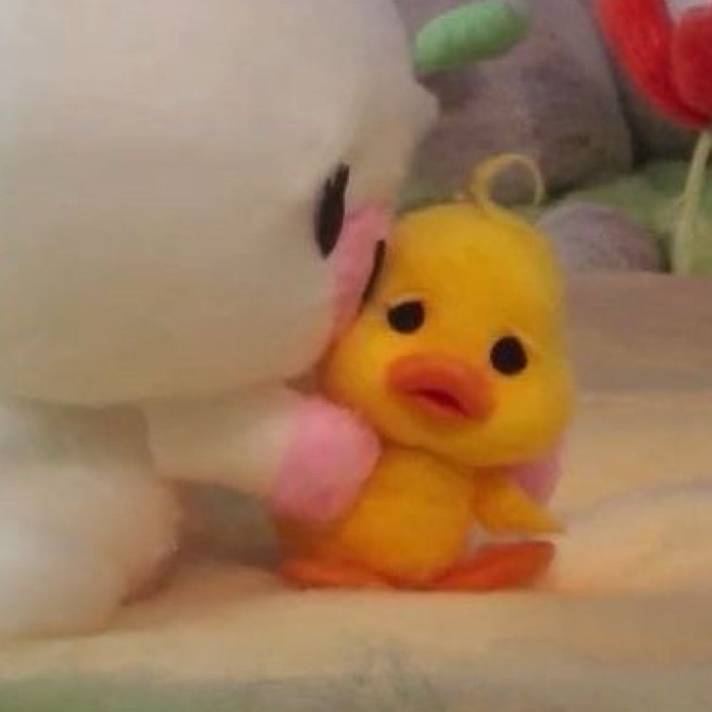 モビダつ