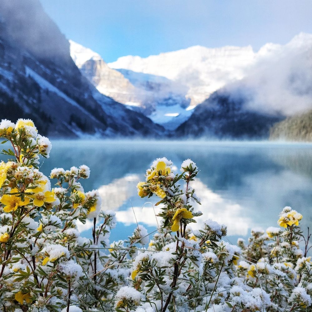 This Wilderness