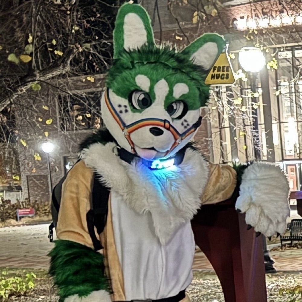 Liam_The_Corgi