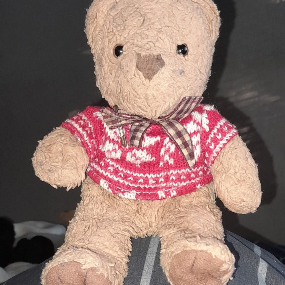 Teddy 2004
