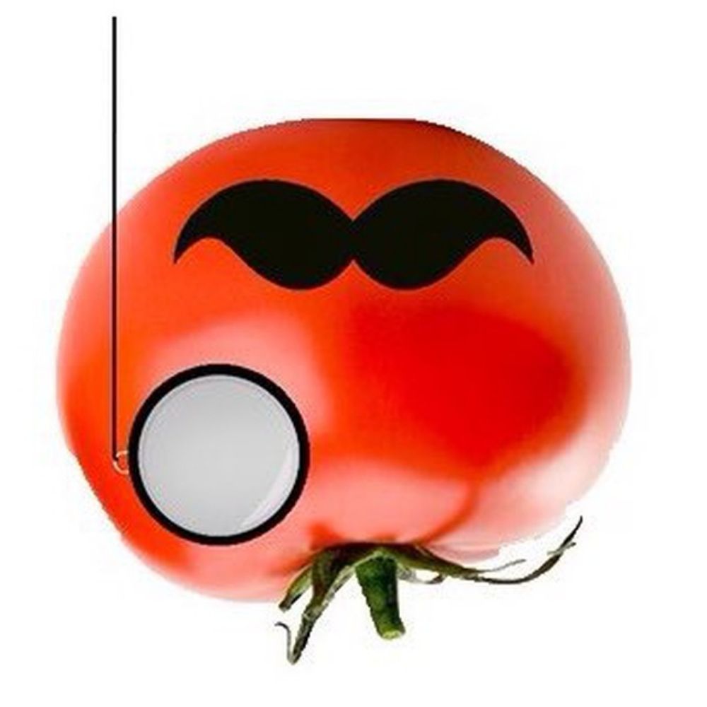 MrTomat