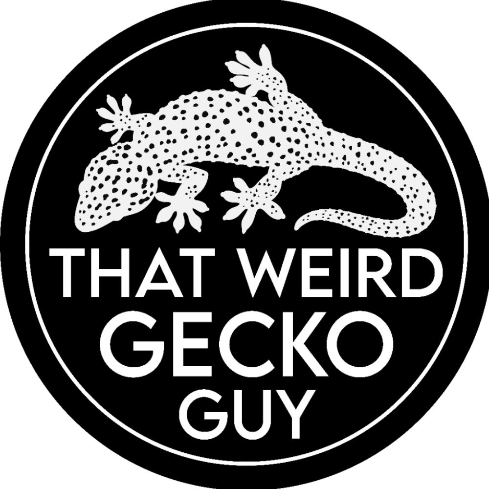 ThatWeirdGeckoGuy