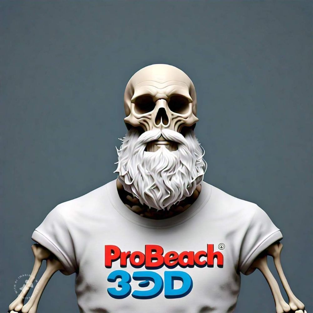 ProBeach3D