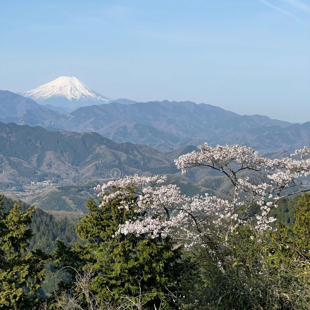 kenken3130.bsky.social