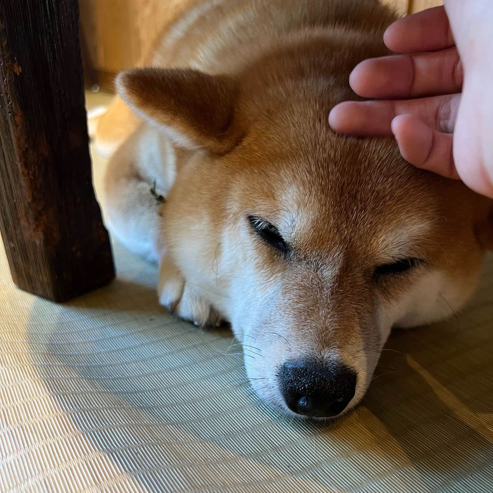 トコトコ