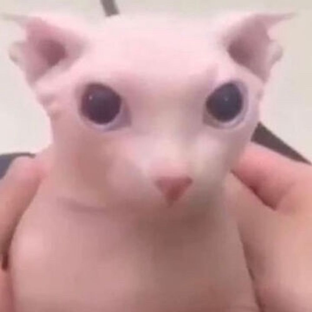 Uio