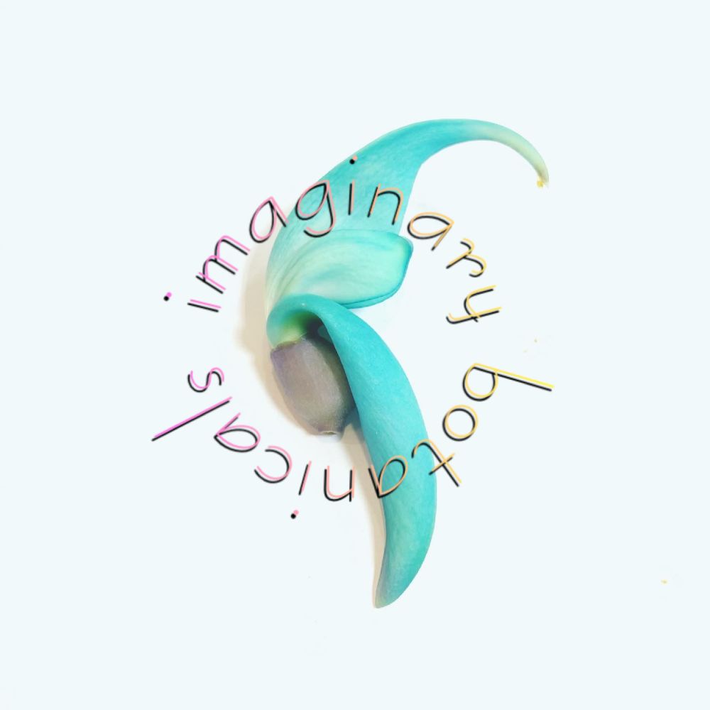 imaginarybotanicals