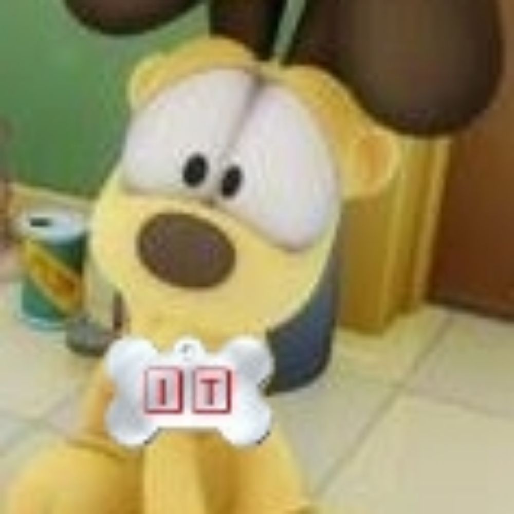 iT0DiE