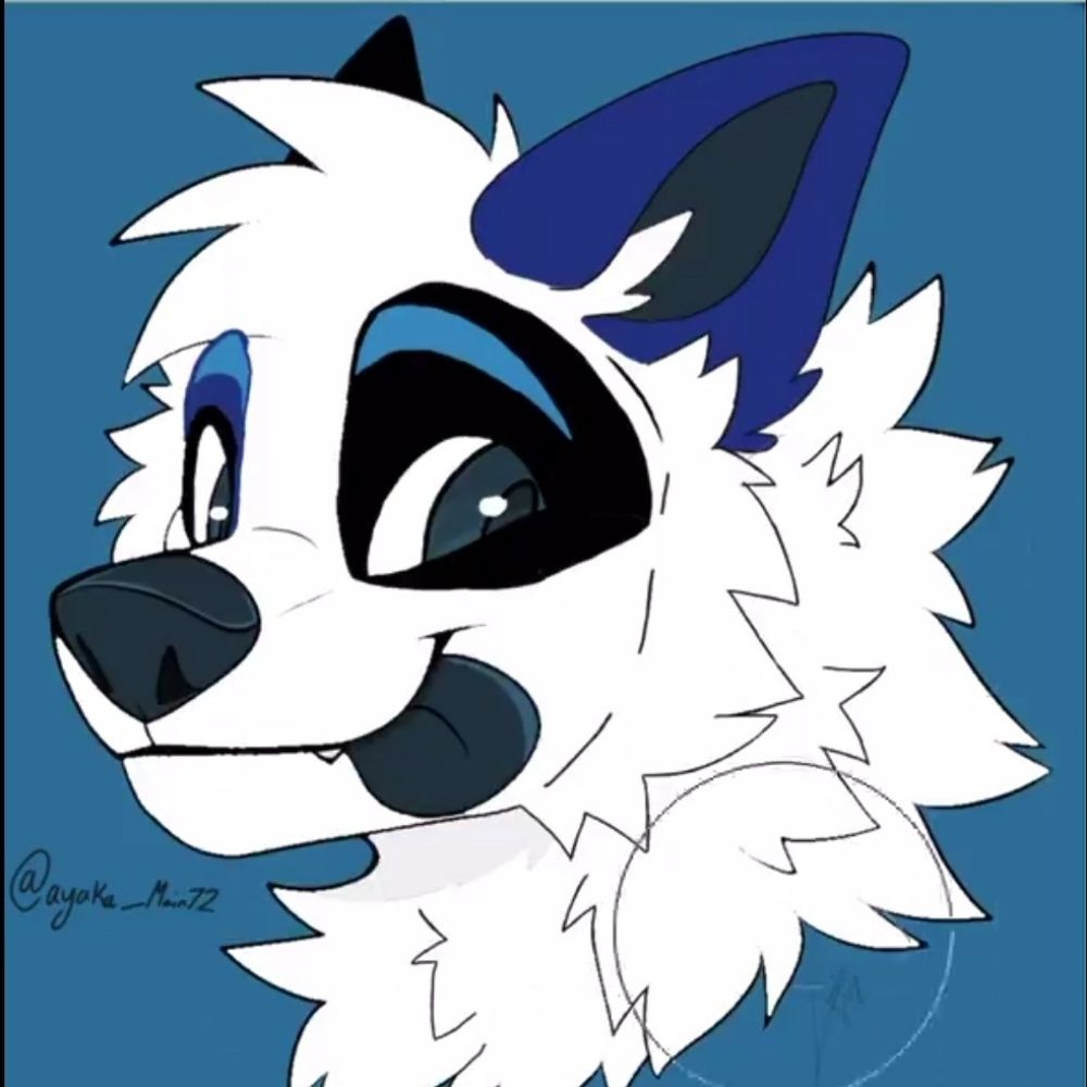 Bluey_Enthusiasts 