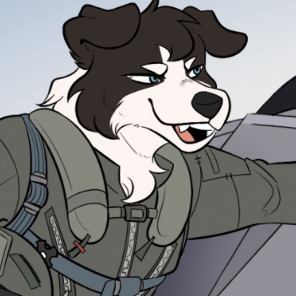 Joshua the medic Gshep