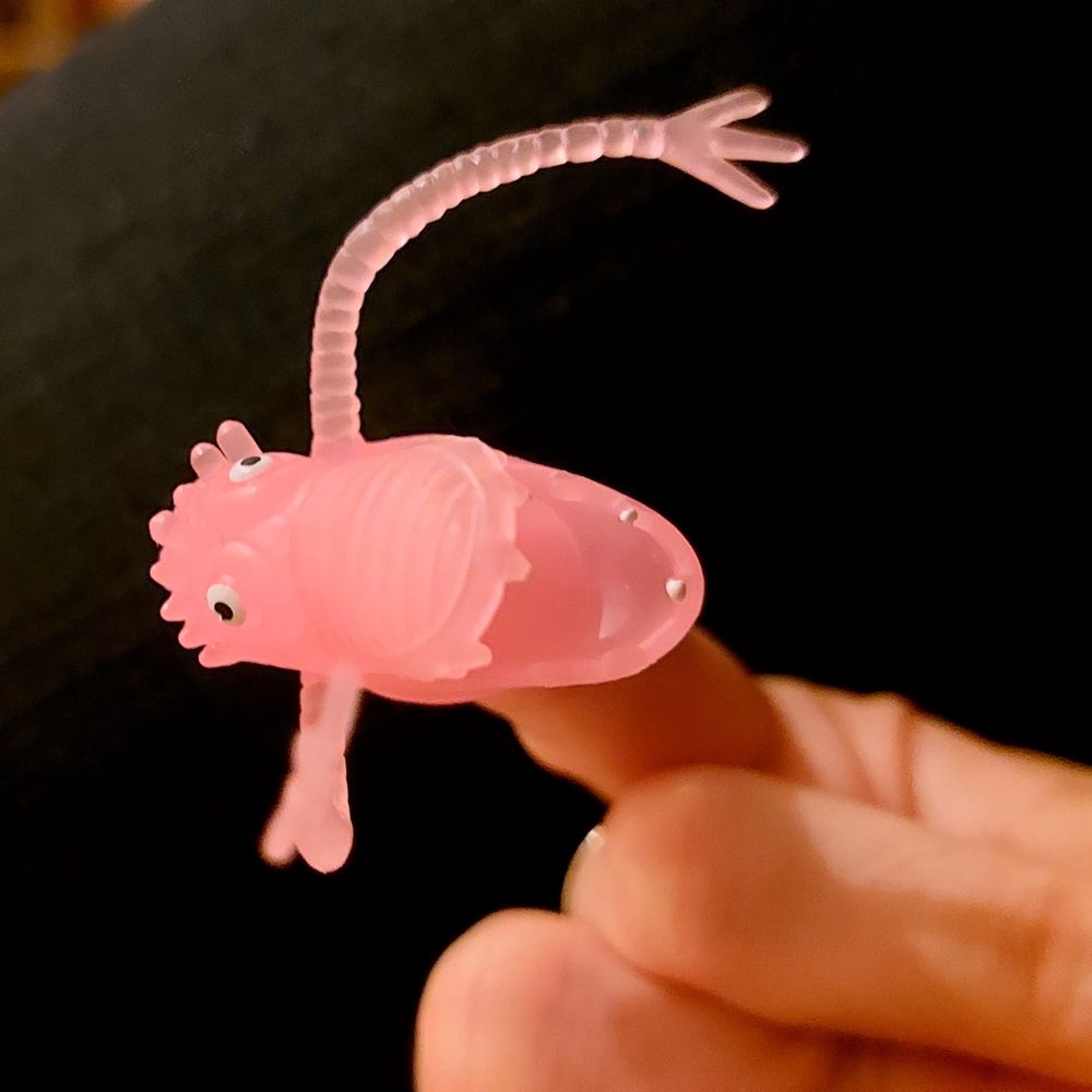 Trompouet