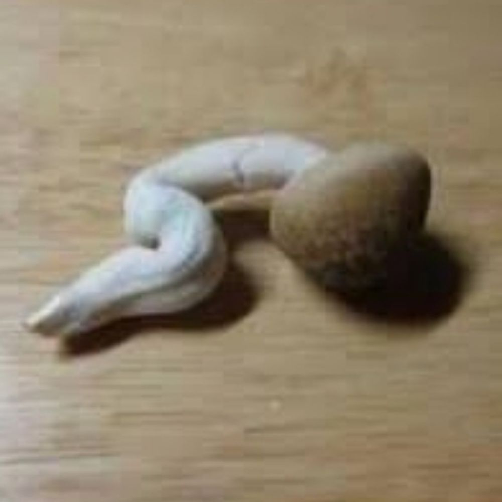 八塩折