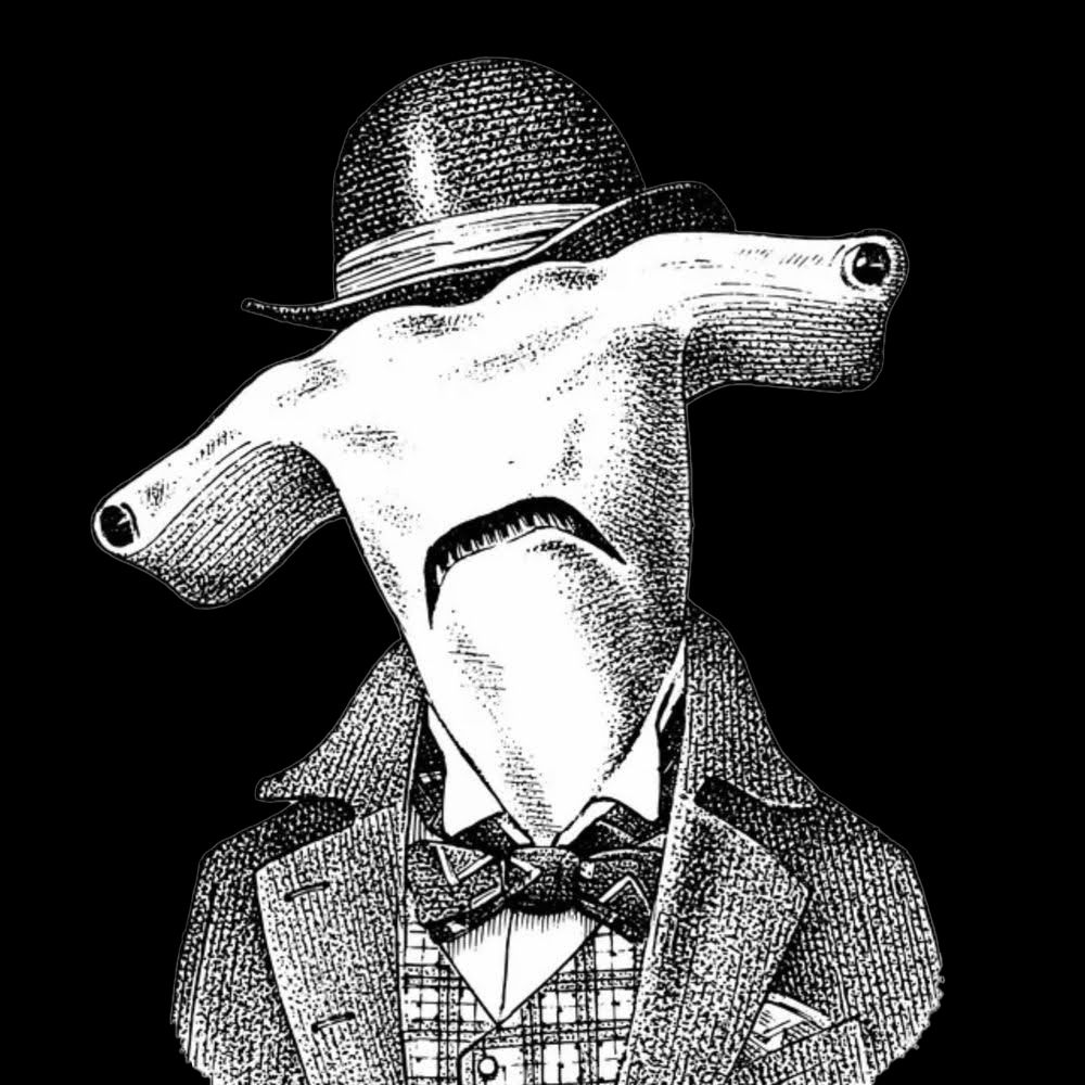 Ben the Hammerhead