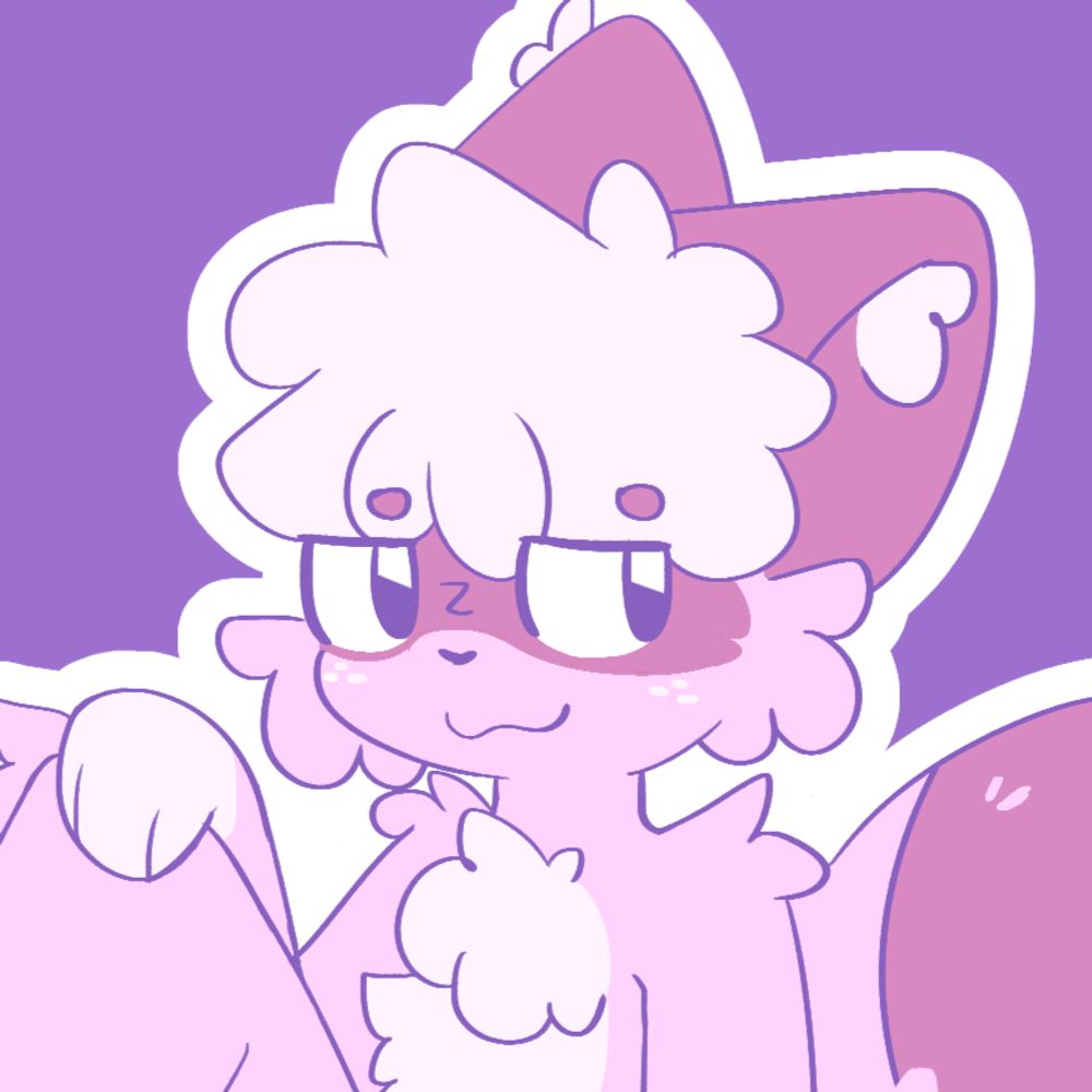 Shibu 🦝