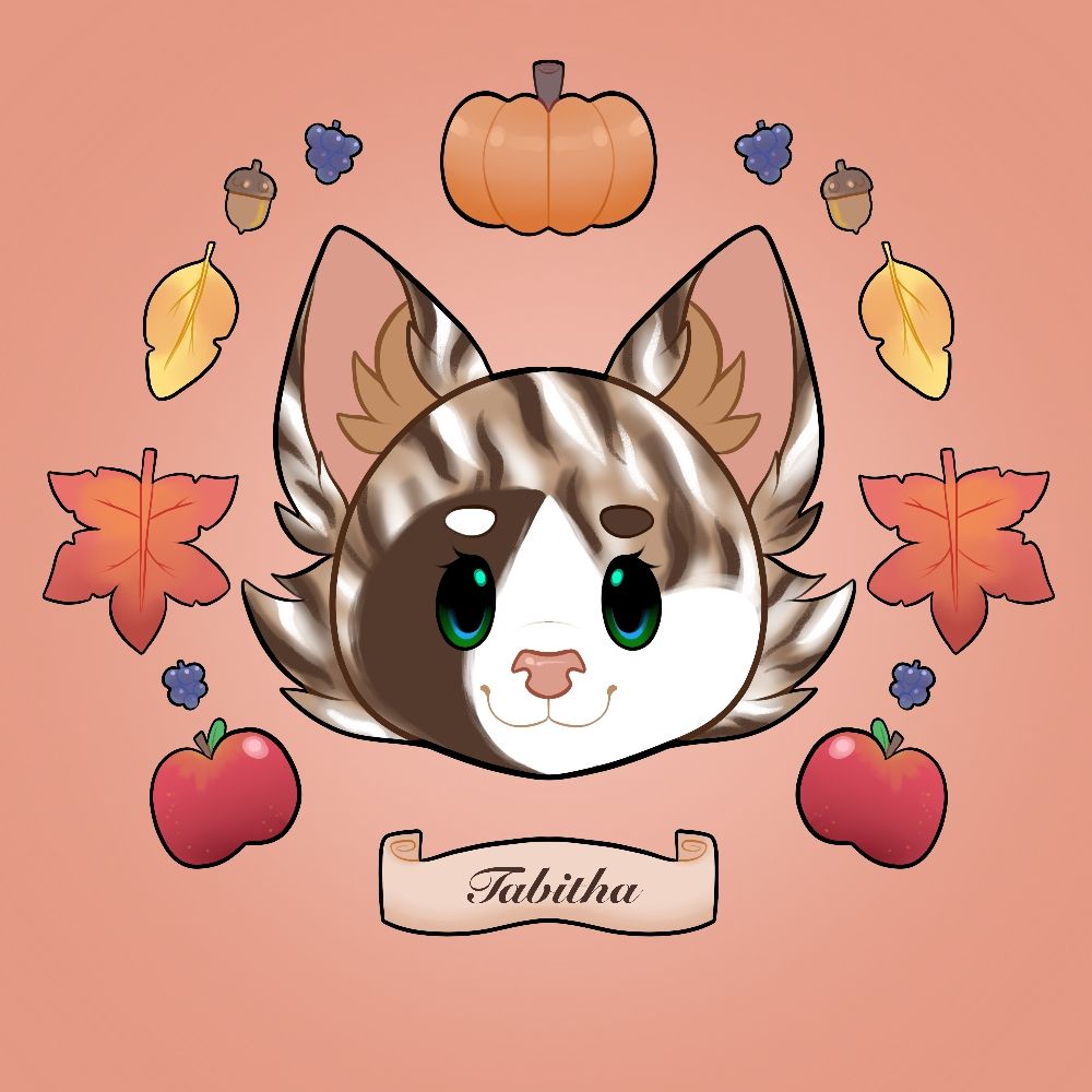 TortieKitten @FC