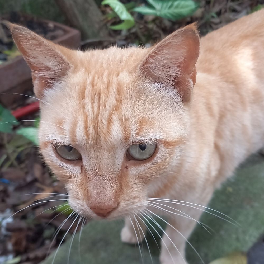 Gati❤️🏹