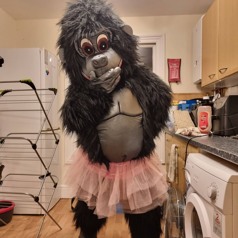 locked in a mascot